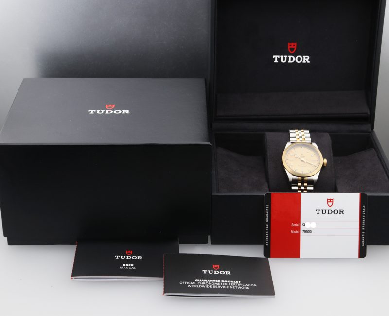 2019 Unpolished Tudor ref. M79503-0003 Black Bay S&G Automatic 36mm Box, Card, Booklets - Image 16